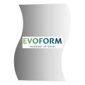 Зеркала Evoform